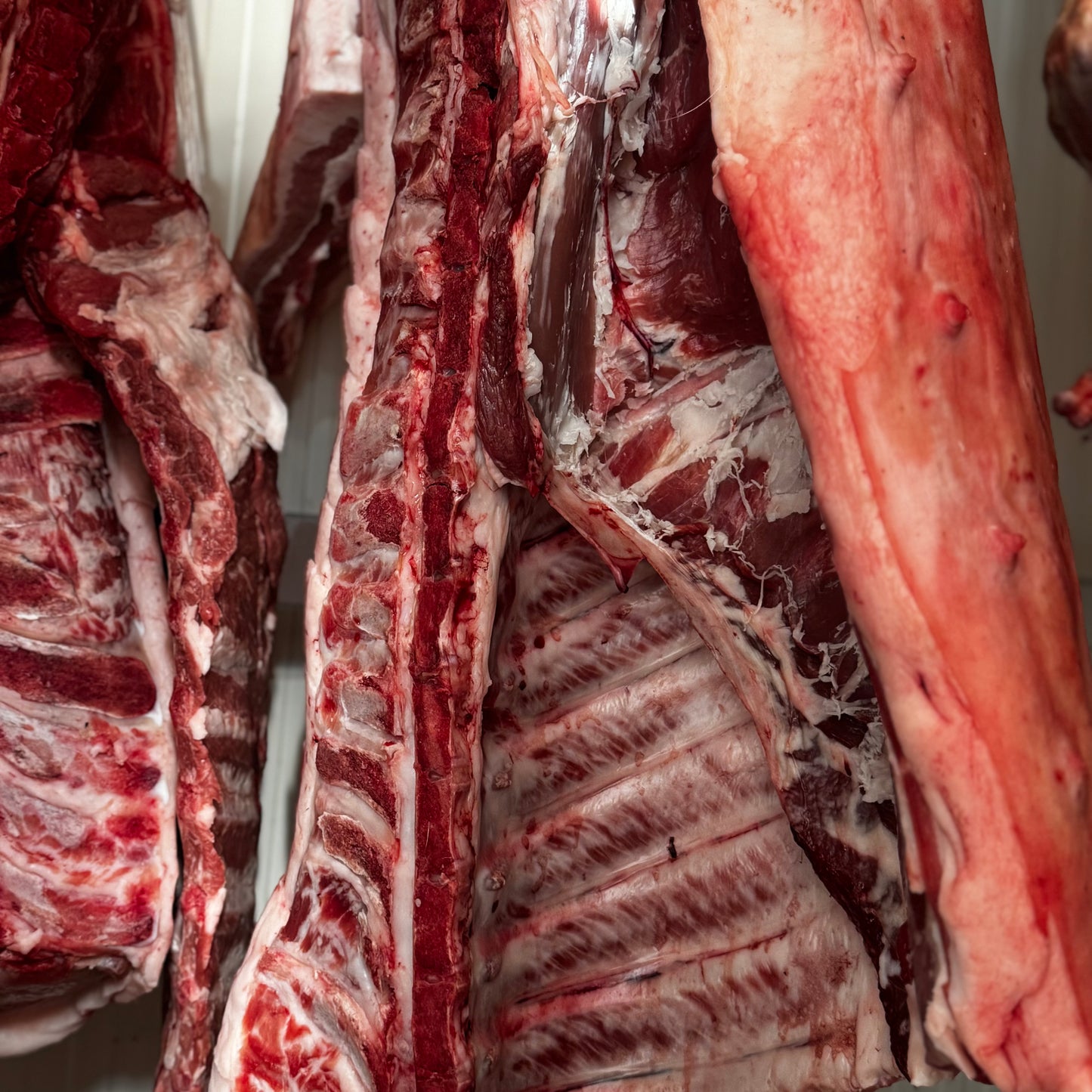 MEZZENA SUINO CALABRESE (5,90 €/KG)