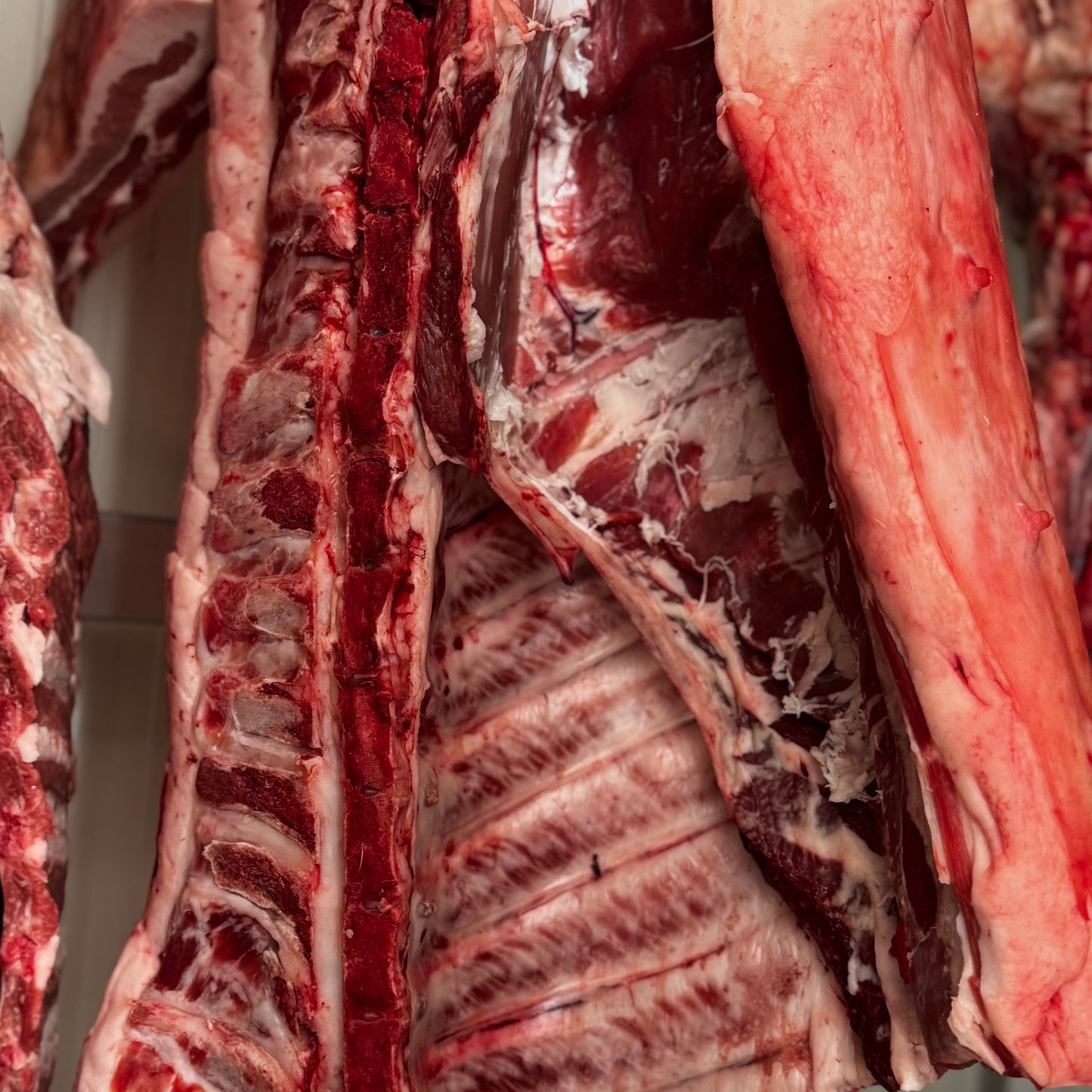 MEZZENA SUINO CALABRESE (5,90 €/KG)