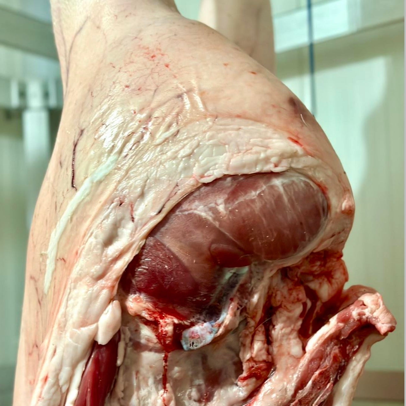 PROSCIUTTO DI MAIALE INTERO (8,29€/KG)