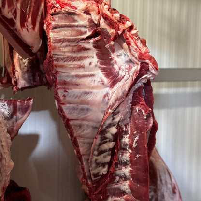 COSTINA (ribs) DI MAIALE CALABRESE (10,49€/KG)